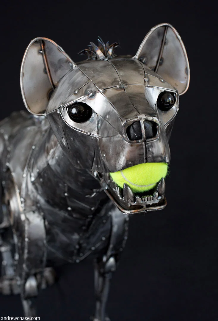 Hyena — Andrew Chase